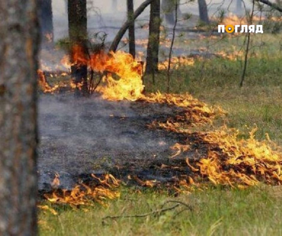 Синоптики оголосили високий рівень пожежної небезпеки на Київщині (ФОТО) - зображення